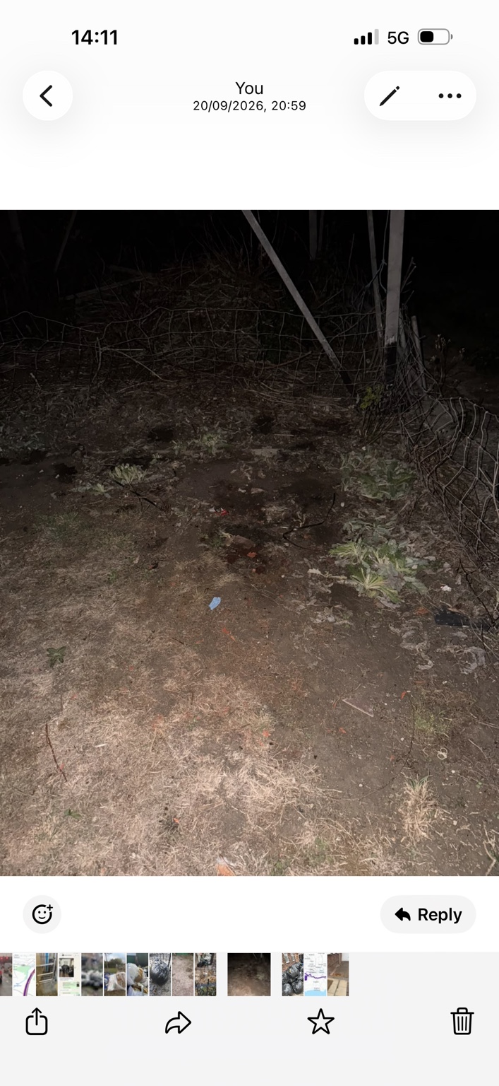 The same garden area cleared after the bulky waste was removed.